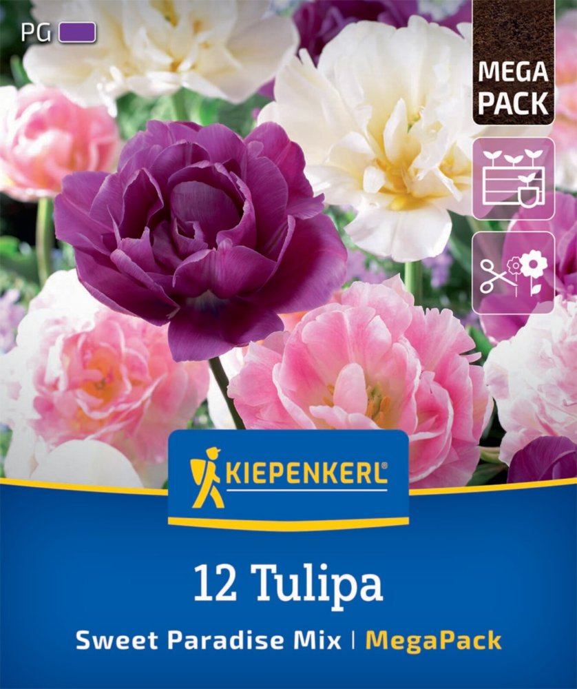 Levně 2875032/99 Směs tulipánů Romantický ostrov 12ks