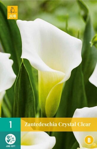 Levně 851276/8106 Kala Crystal Clear 1ks