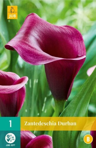 Levně 851277/8108 Kala Durban 1ks