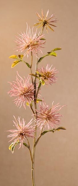 Levně Dry Mini Xanthium 53 cm růžová F258-P