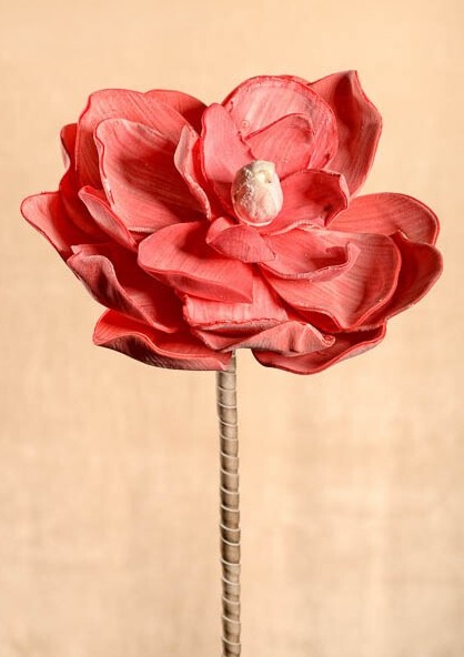 Levně Magnolie růžová 75 cm 3-42PI