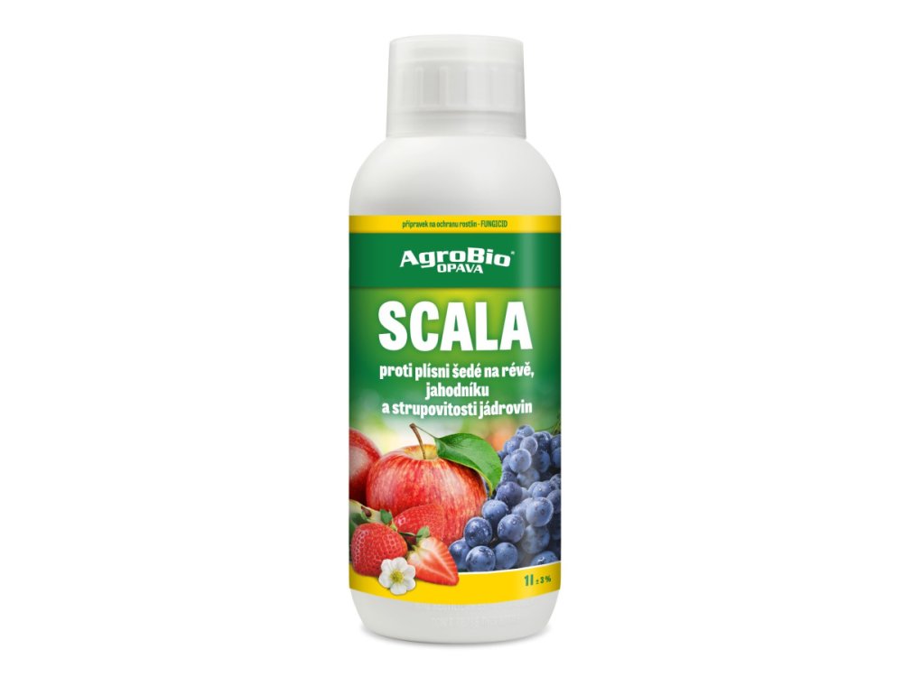 Scala 1L