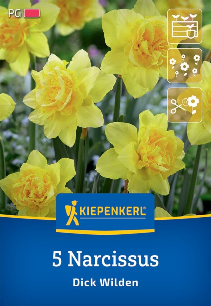 Levně 2450009/7605 Narcisy Dick Wilden 5ks