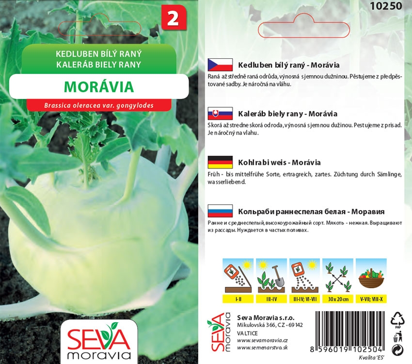 Levně 10250 Kedluben Morávia 0,8g / 1303