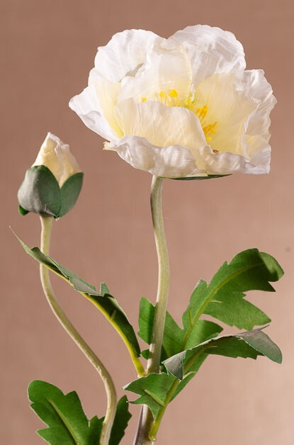 Vlčí mák 69 cm bílý F393-W