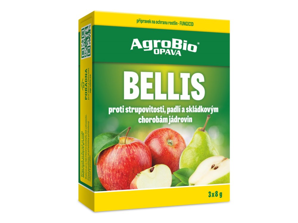 Bellis 3x8 g