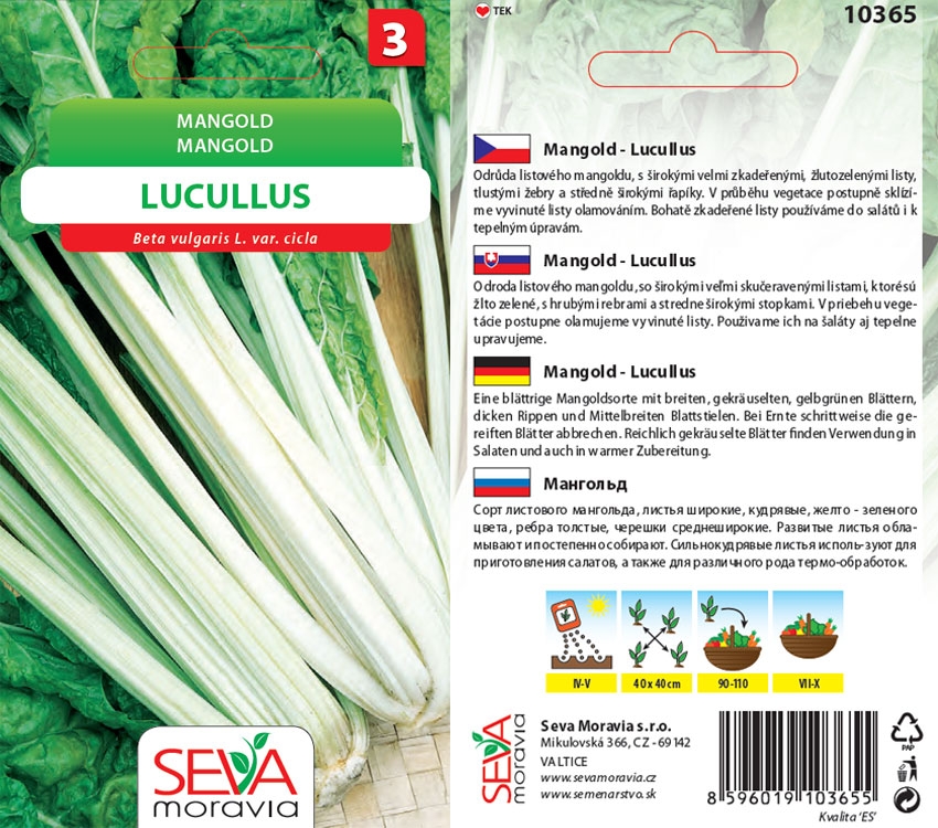 Levně 10365/1607 Mangold Lucullus 4g