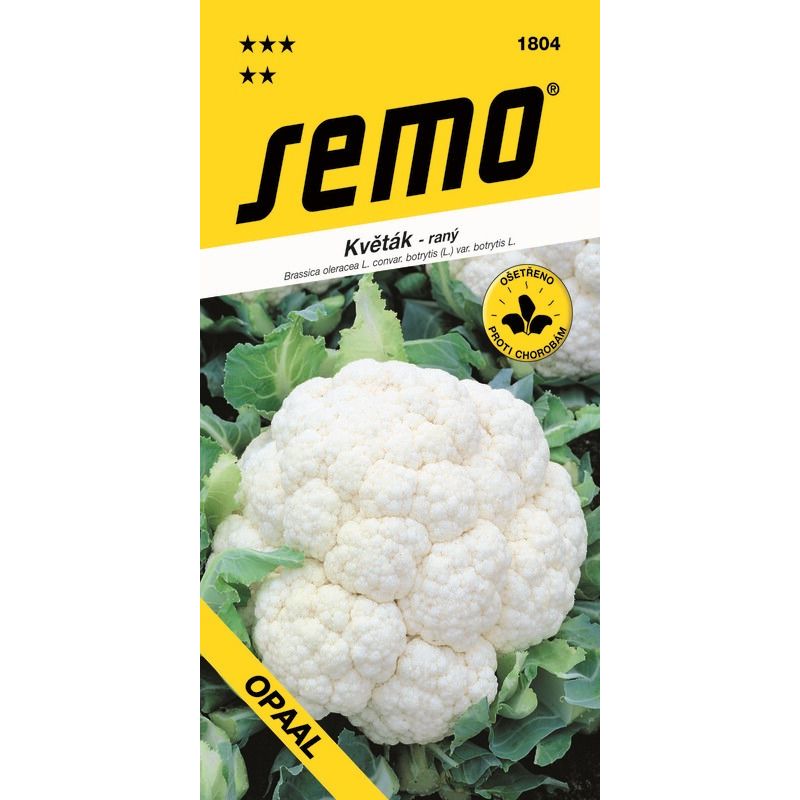 Levně 418042 Květák Jarní jarní Opaal 25s / 1407